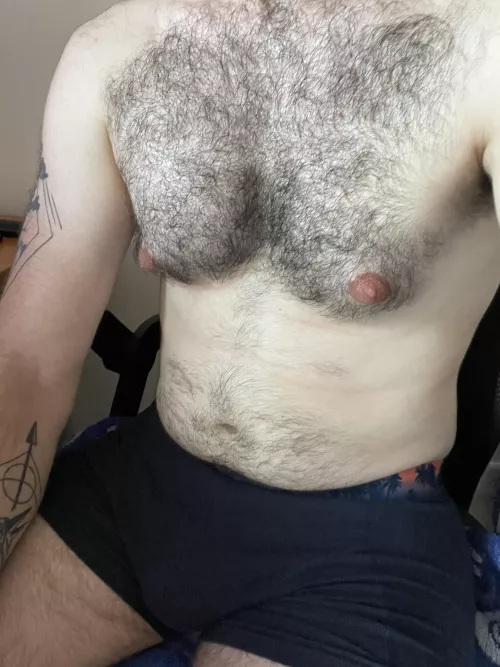Looking for chubs , young or daddies, dm me by boiibeast