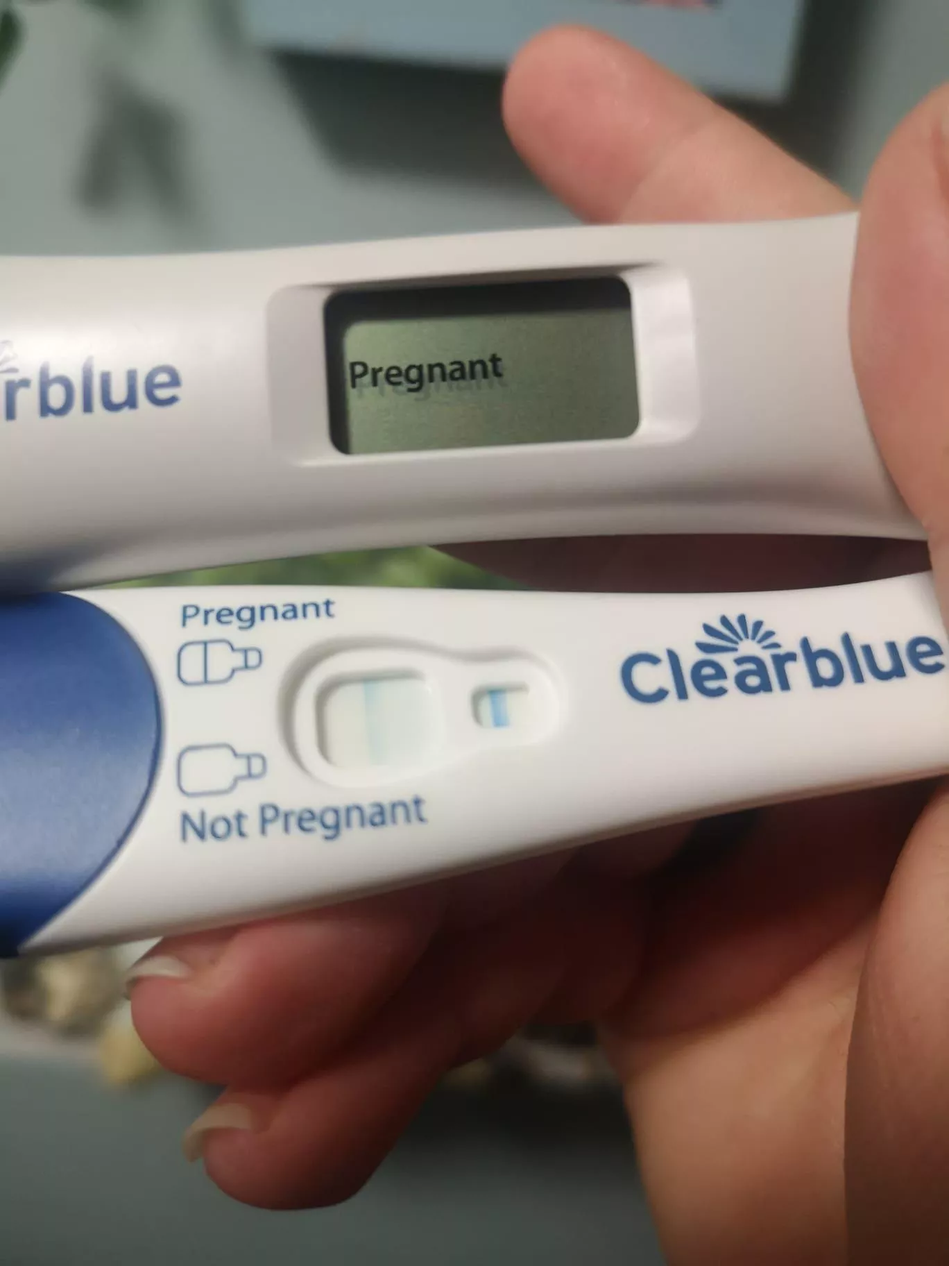 New impregnation success posted by Electrical-Newt-4009