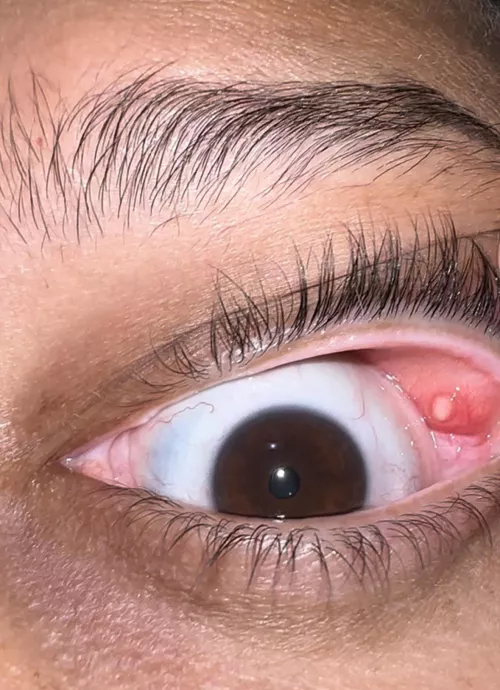 Posting again without asking questions by Charming_Helicopter9