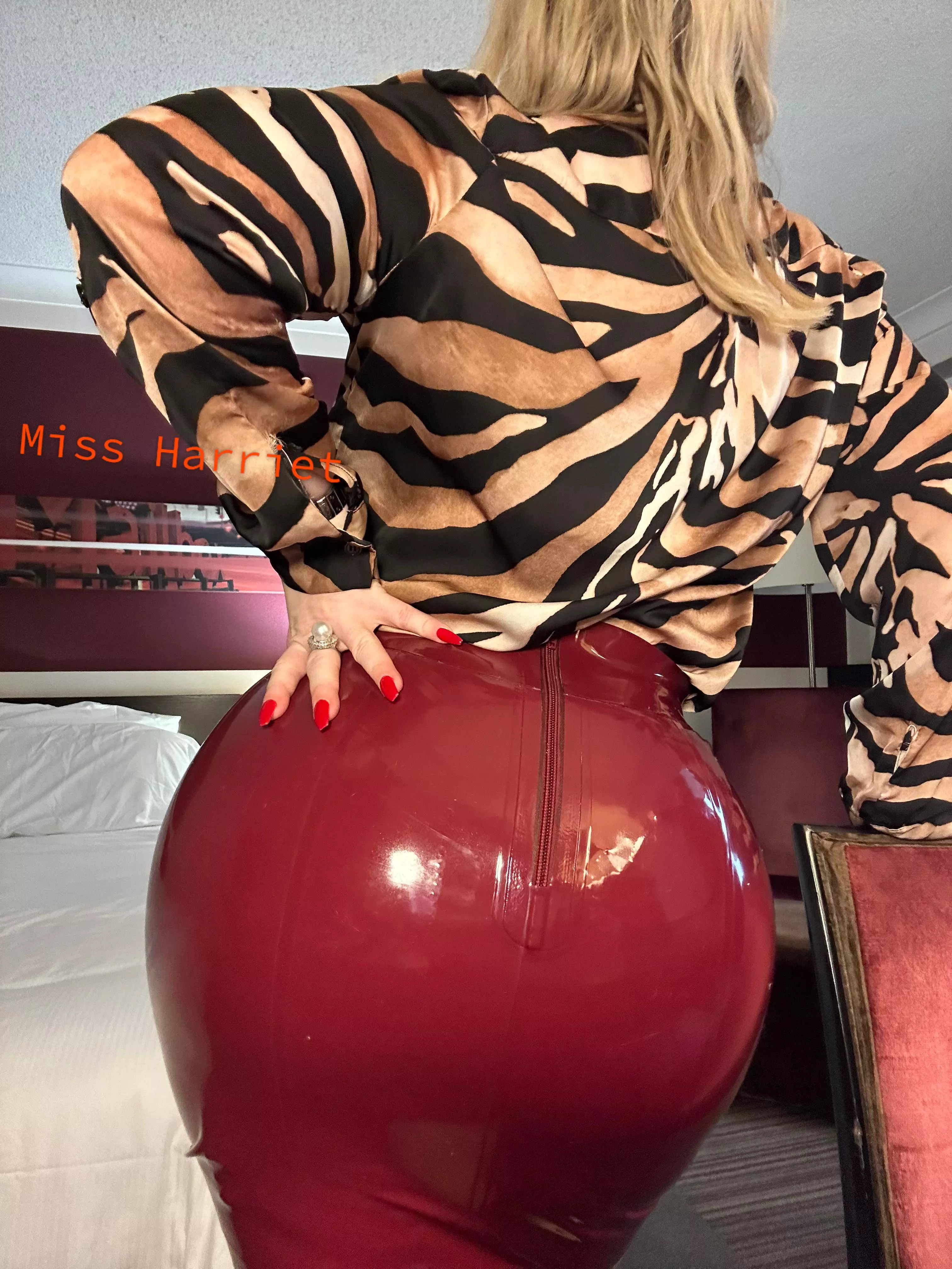 Ready for the office… posted by Traditional_World_82