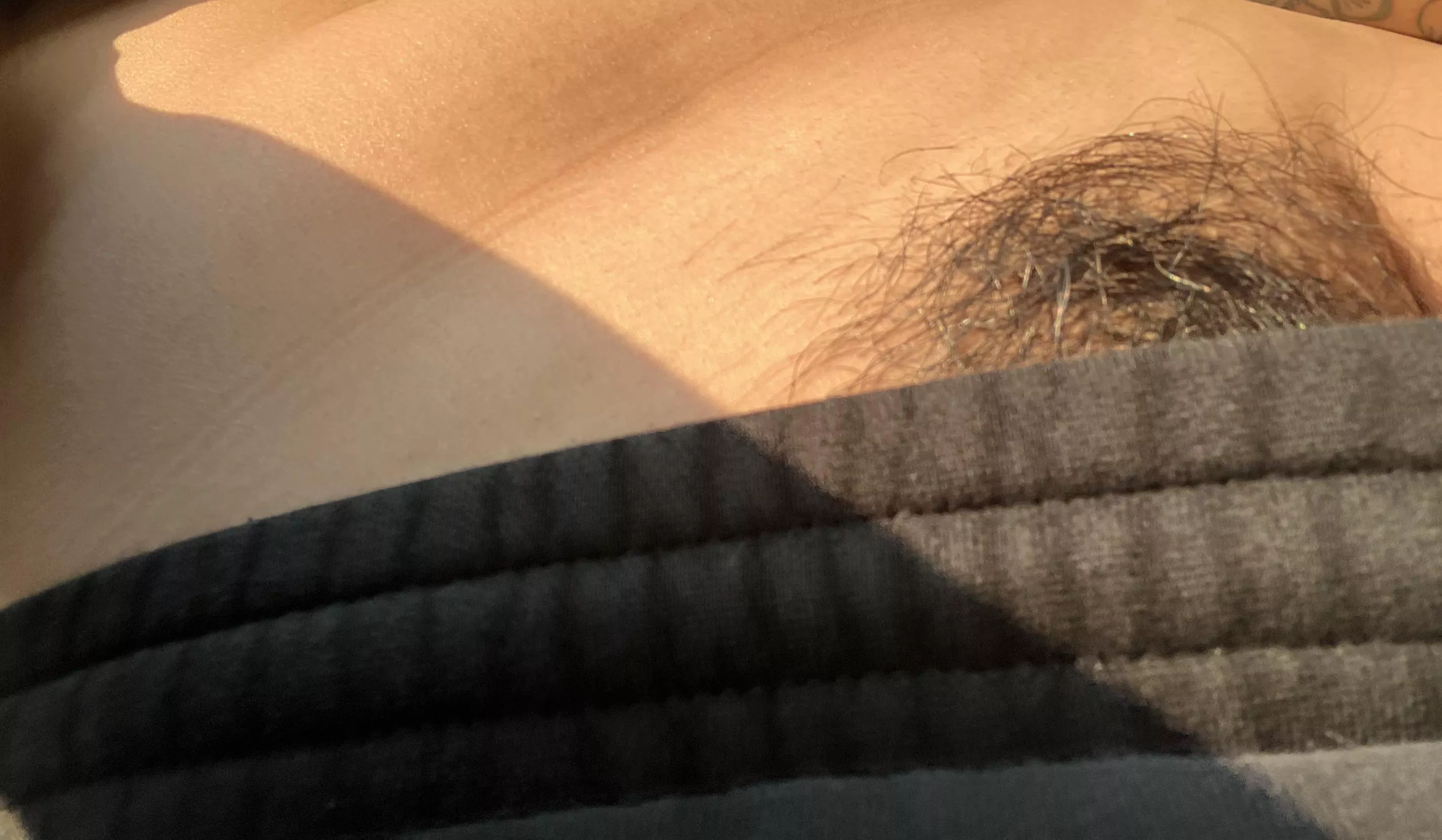 Sunkissed bush anybody?;) posted by knowfacehaze