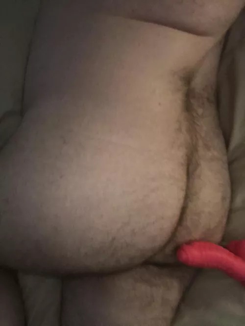 A freshly fucked ass. DMs open by raptorclaw_19