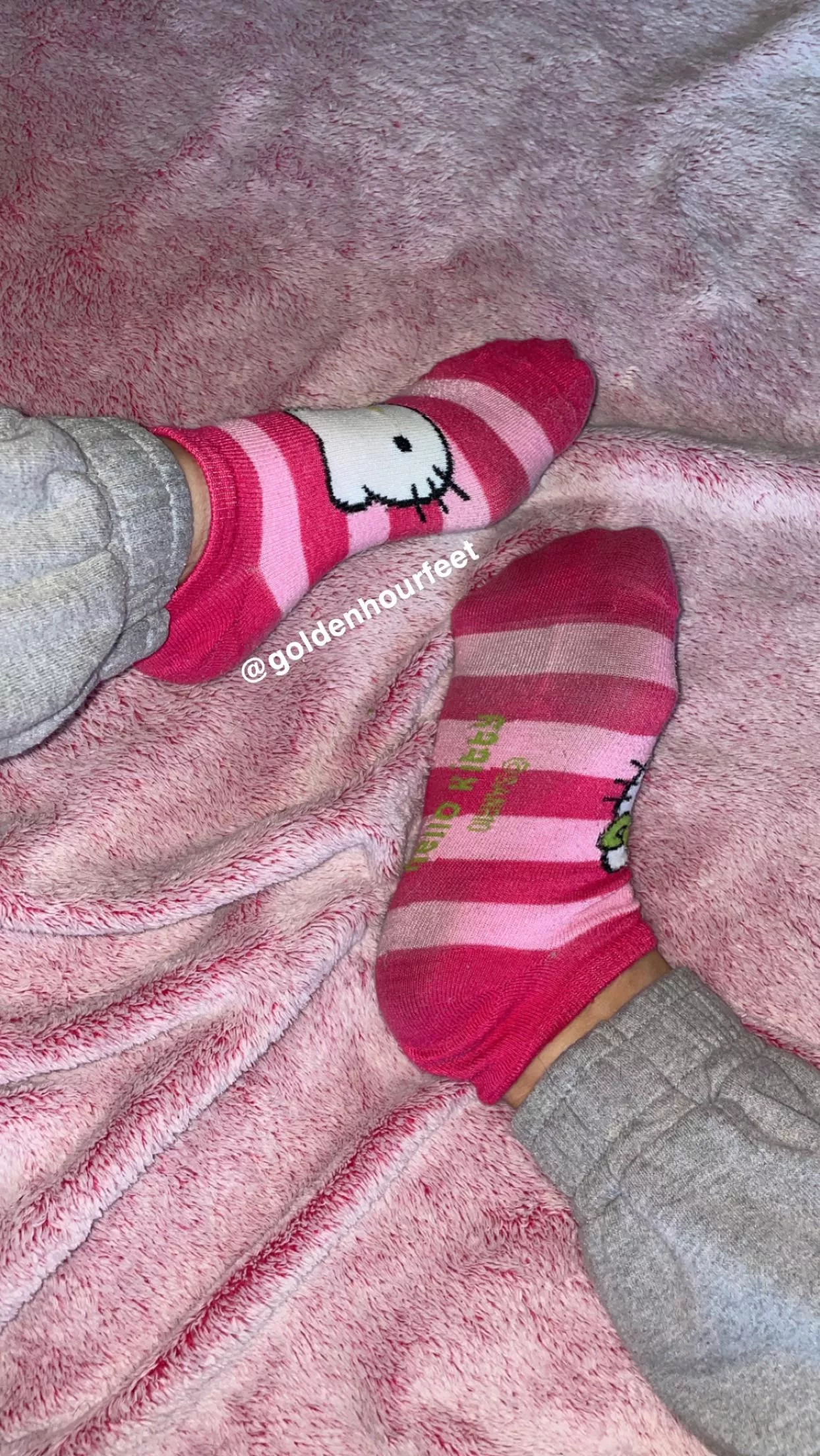 Aren’t these socks so cute?🥰 posted by goldenhourfeet