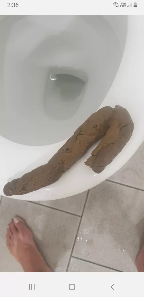 Big shit by Bunch_Defiant