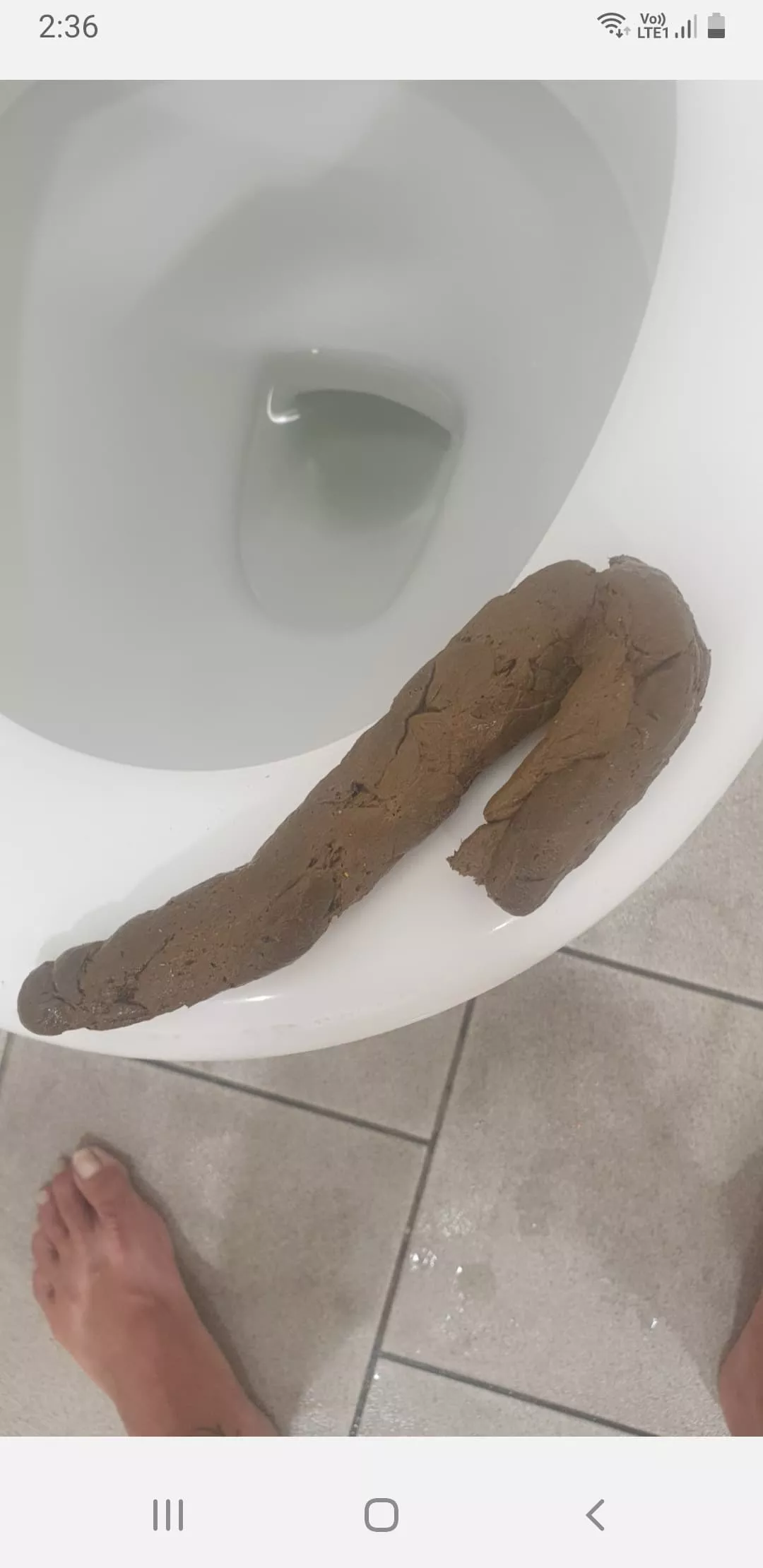 Big shit posted by Bunch_Defiant