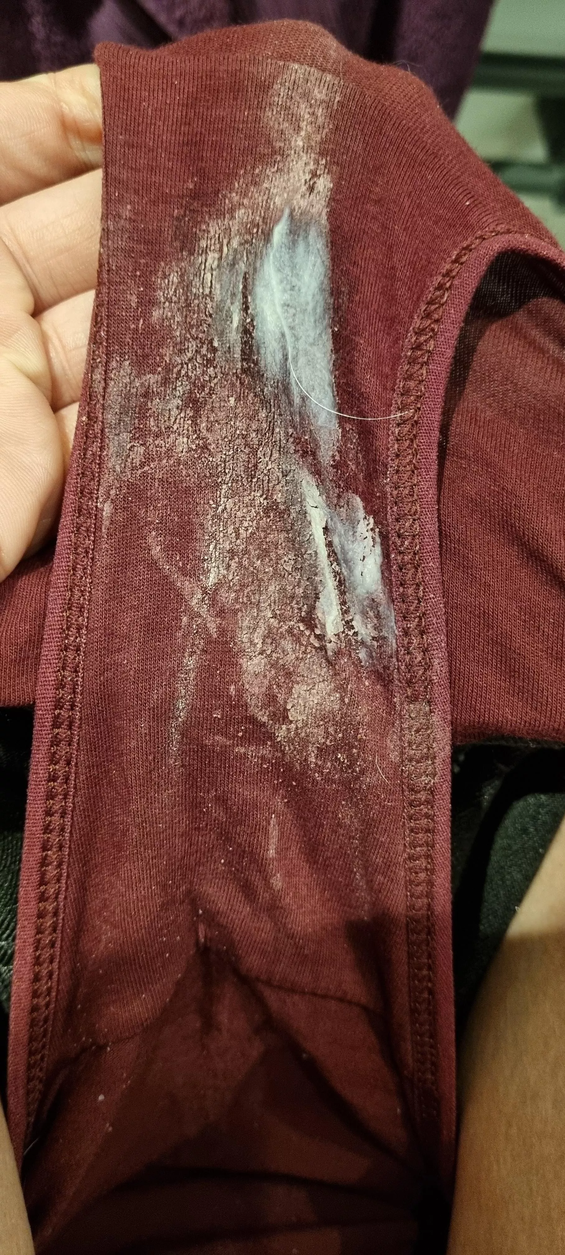 Creamy mornings are my favourite posted by Away-Leek2988