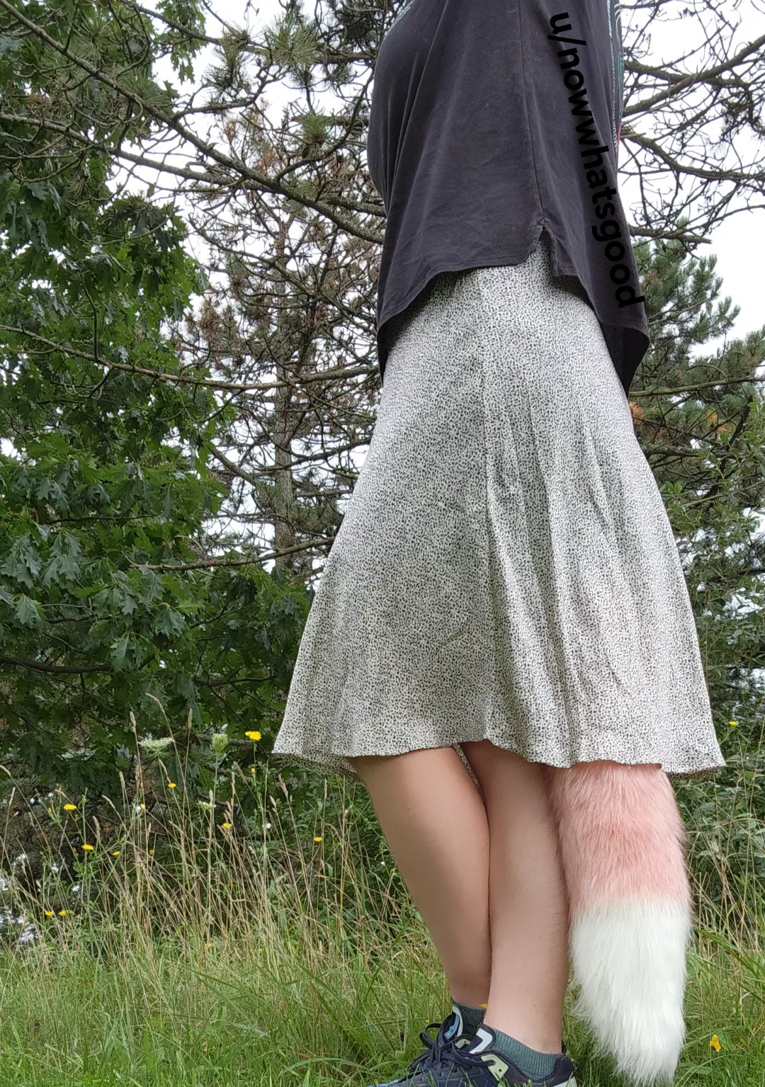 Had to Show the World How Cute This Tail is posted by nowwhatsgood