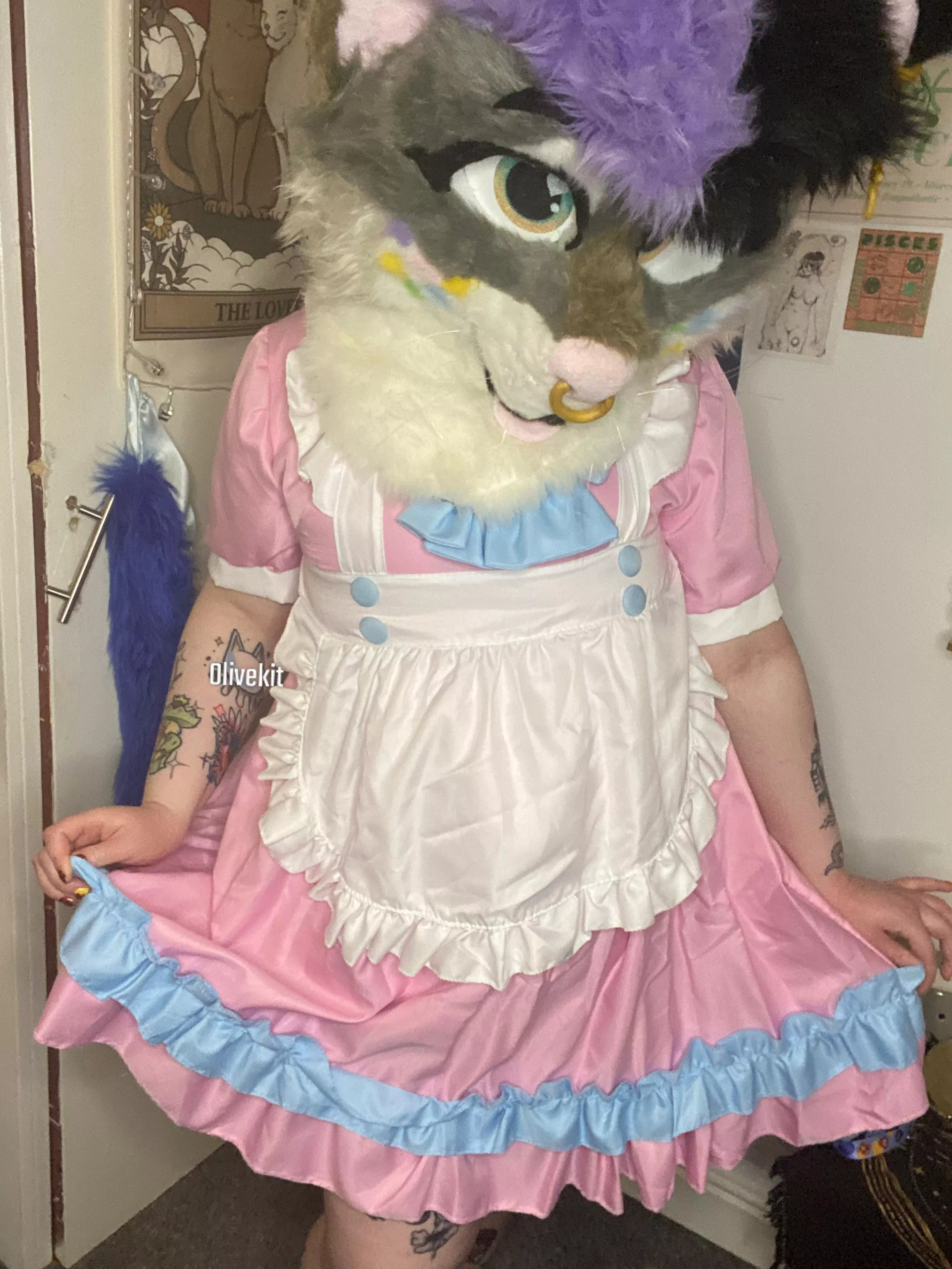 How can this kitty maid serve you?~ posted by olivekit