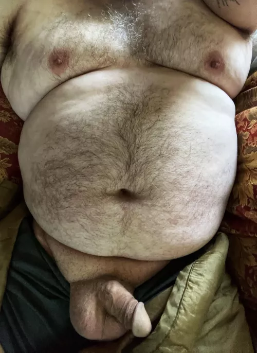 It is 430 in the morning. Would you play with this older bear? by GGpapabear