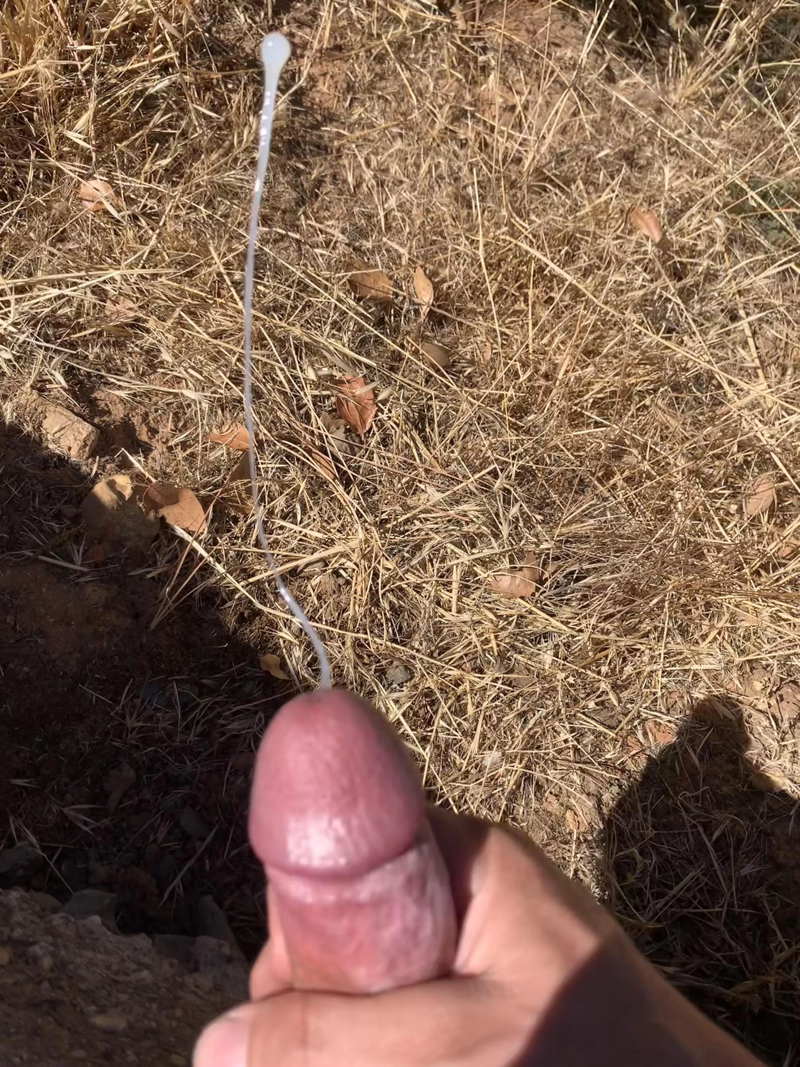 It’s good to get some sun and do some fertilizing. posted by get-outside2017