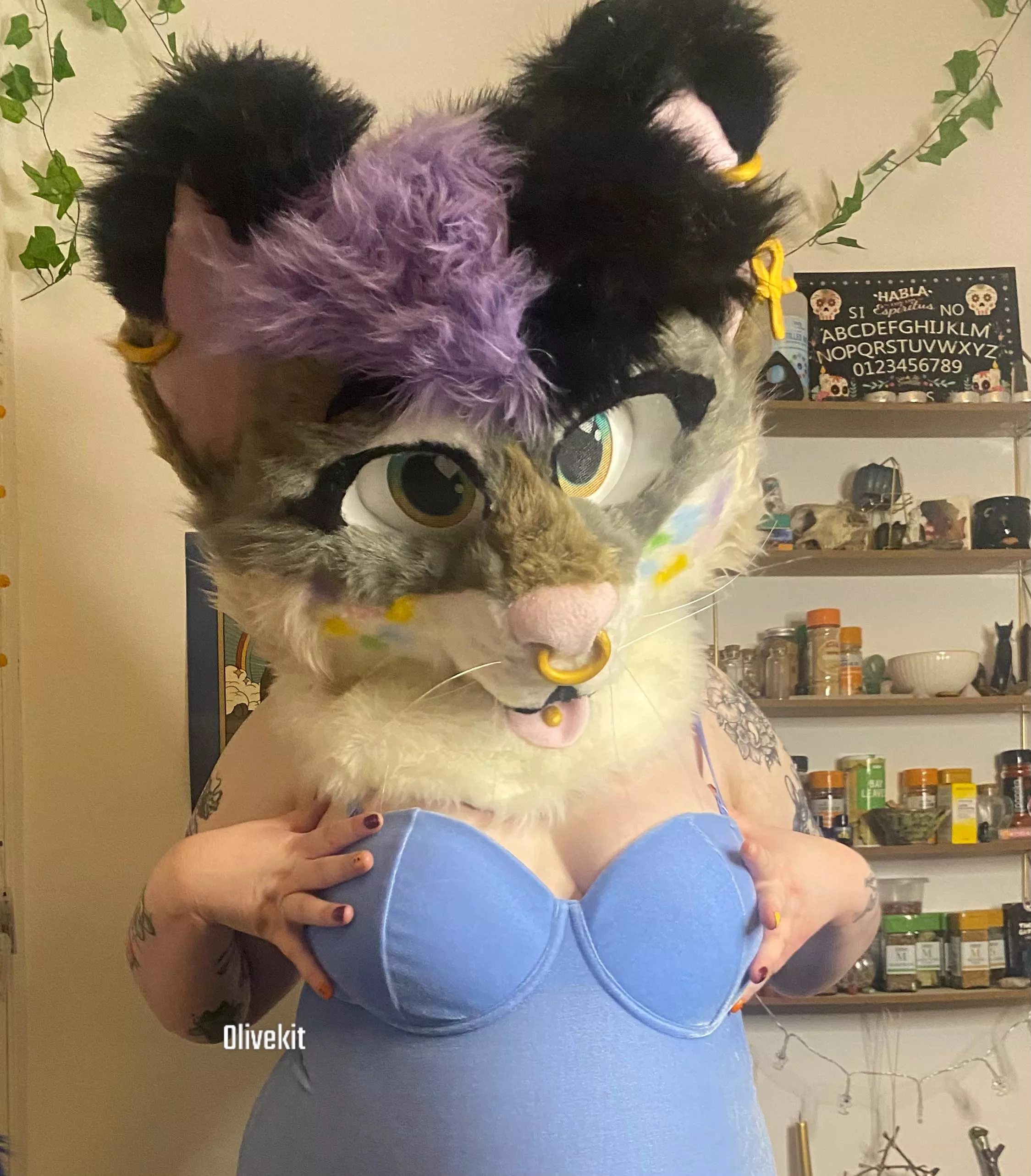 Let me be your obedient lil kitty posted by olivekit