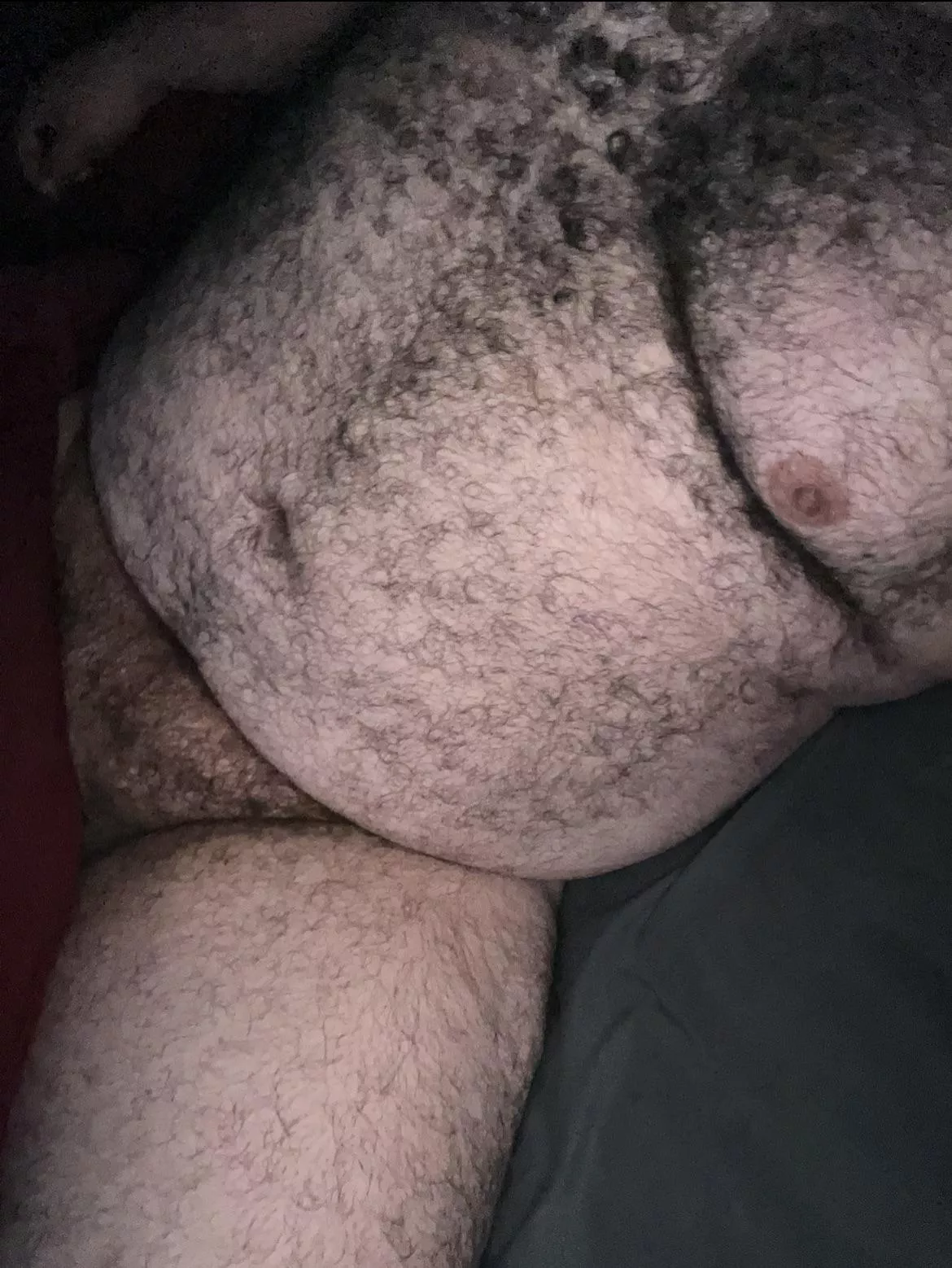 Let’s stay in bed a little while longer🐻 posted by bigmikemccarthy