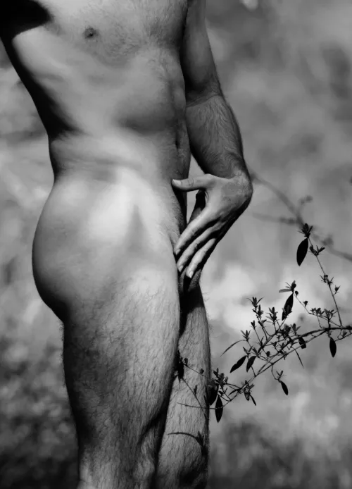 Lost in the woods by Jack21v