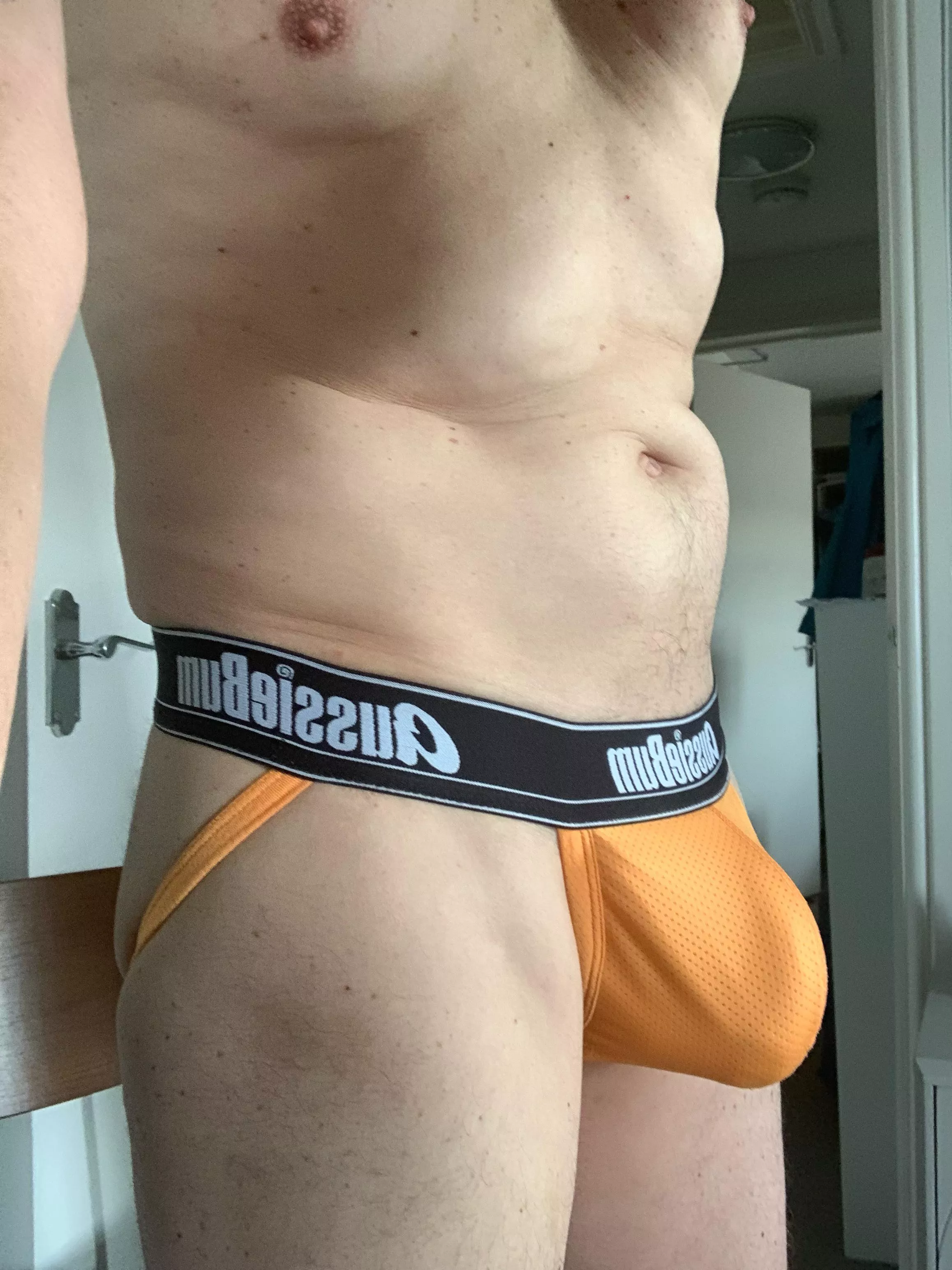 My Aussiebums posted by bigbulge_9