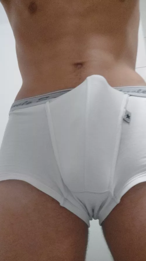 Outline by CertainRanger8463