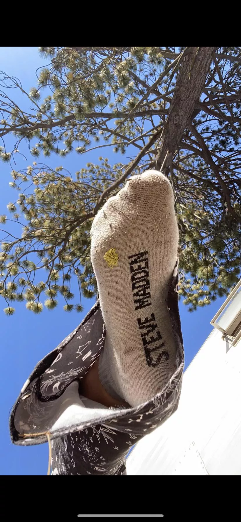 Sniff or lick? posted by Lemonyummypanties