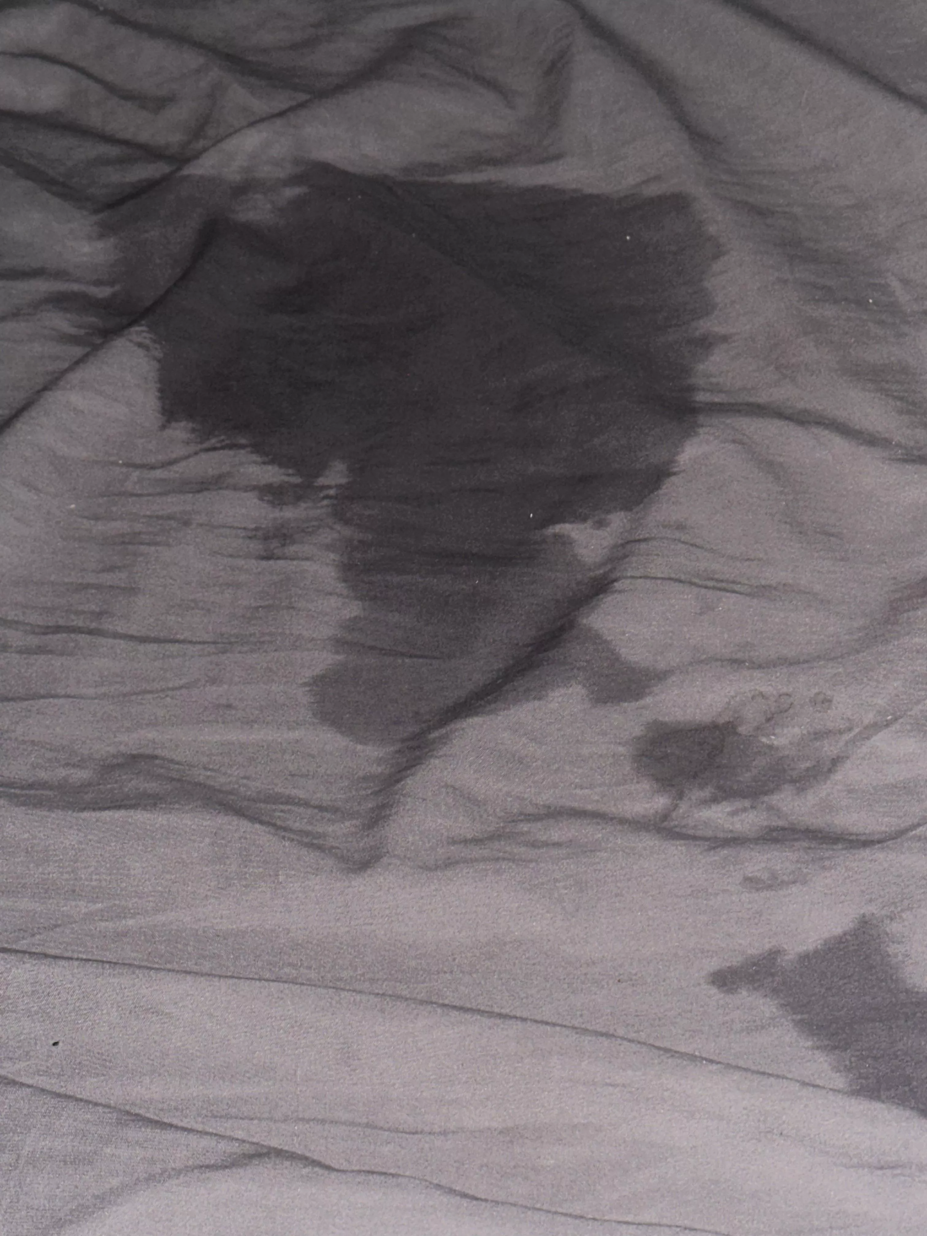 So…I Had to Sleep on a Towel Last Night posted by iWearHisCollAr8411