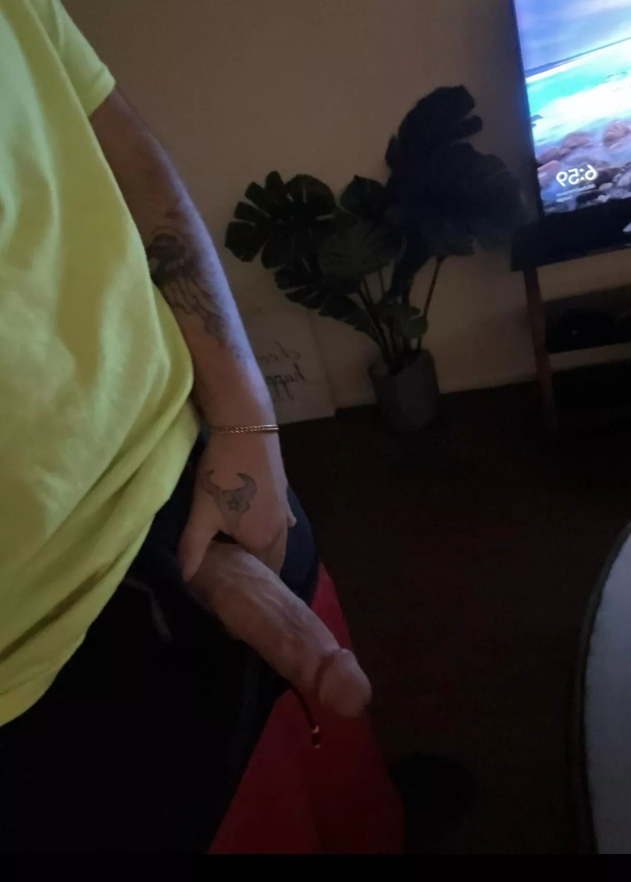 When I’m not the only home but take dick pics in the living room. posted by Ok_Adeptness8863