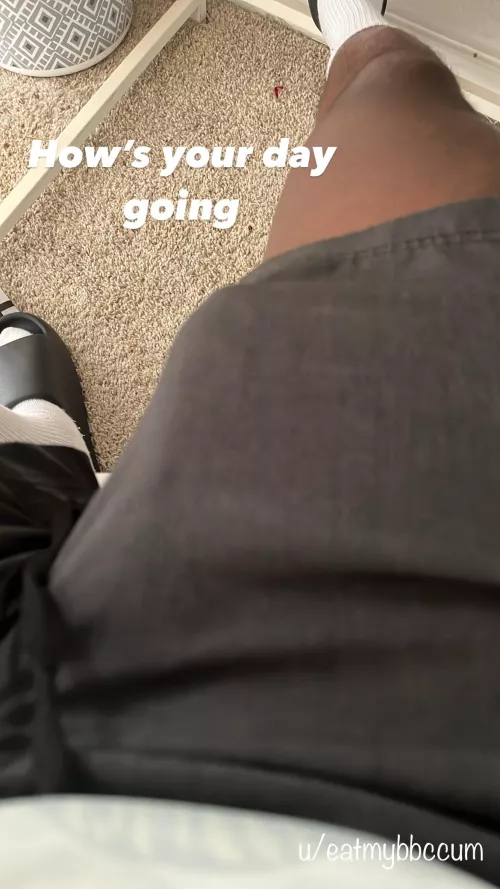 Working from home goes something like this. by eatmybbccum