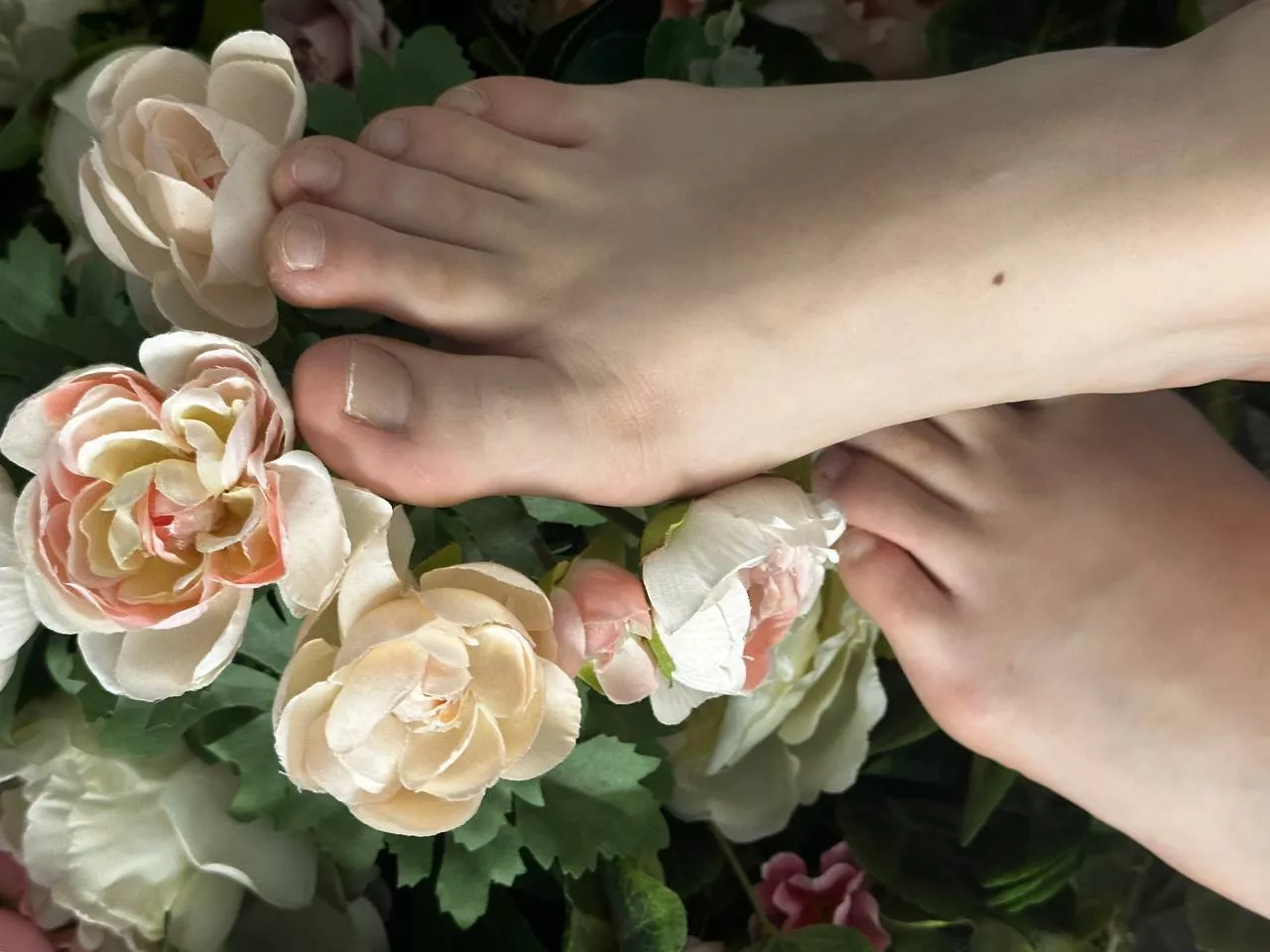 would you eat my feet if I told you they tasted like chocolate posted by Ok_Diver9476