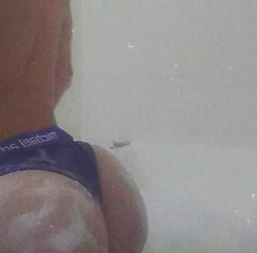 All this ass and I still haven't been pegged by R1CkkkS