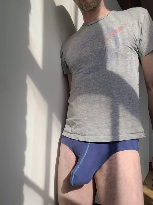 Always in briefs by sixfivealive