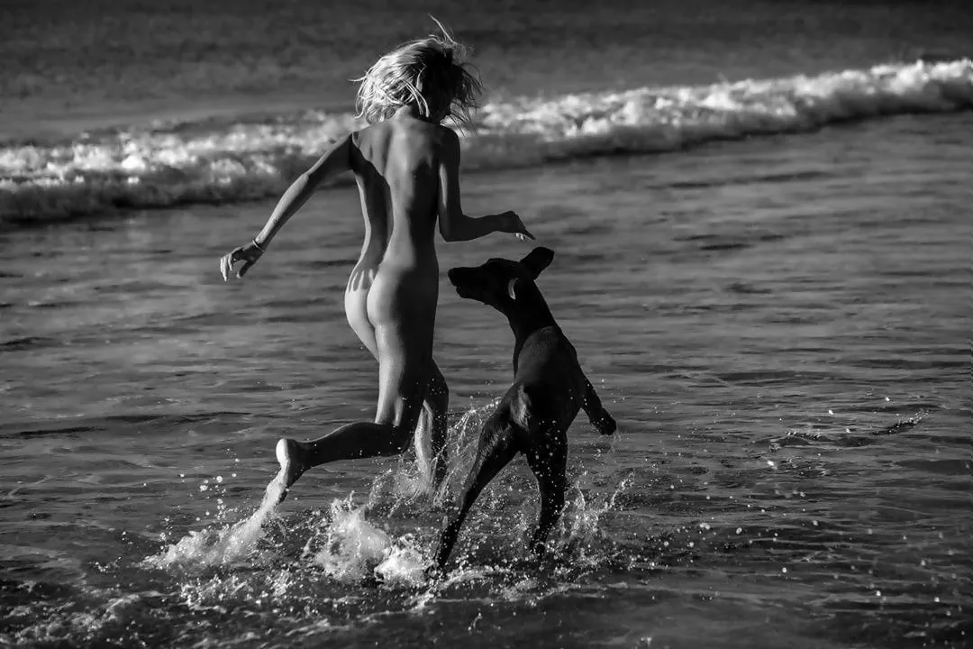 August 26 - National Dog Day - Shore running buddy posted by NaturistPictures