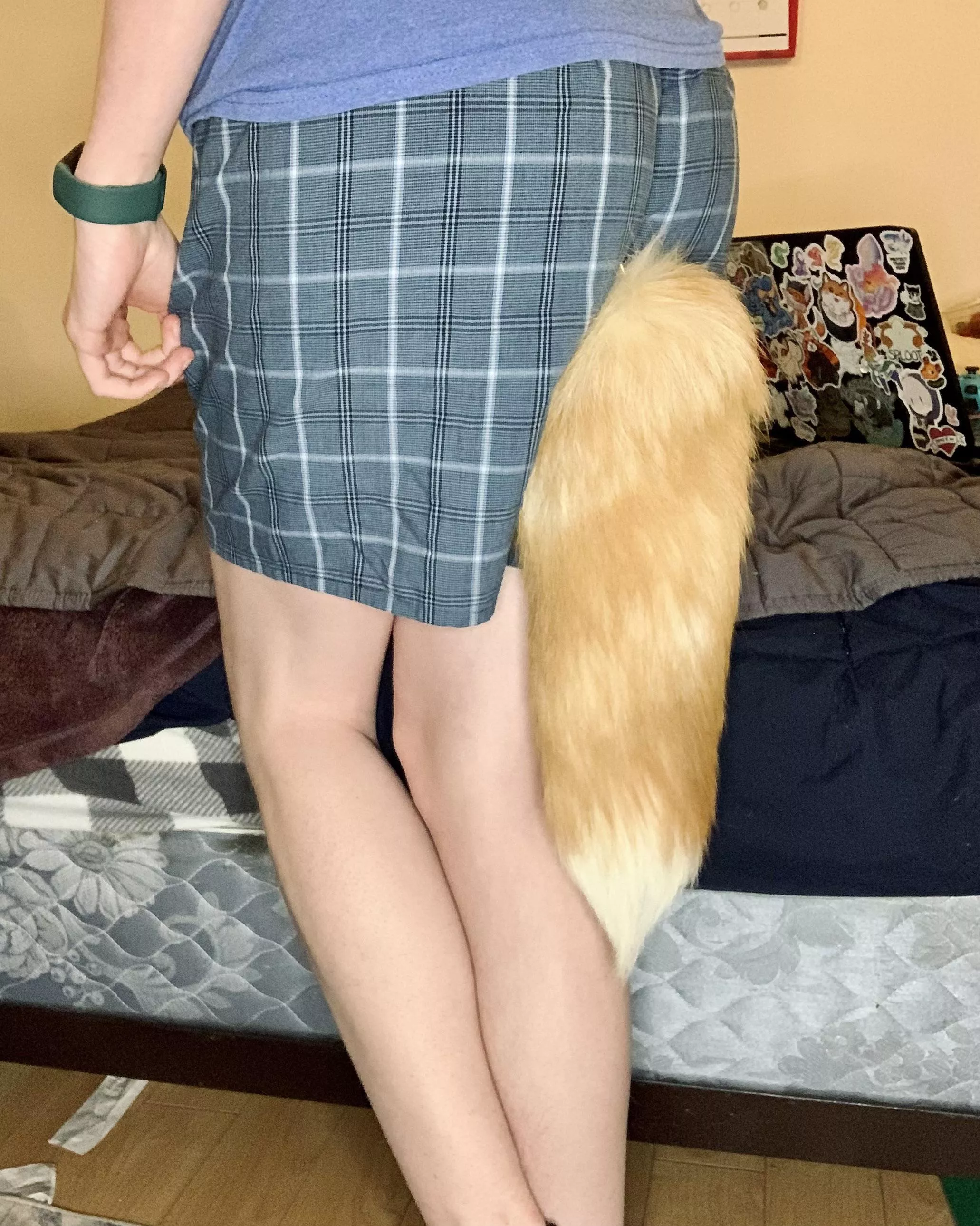 did you know a backwards pair of boxers works perfect for a tail? now if only i had a pair of pants with a tail hole, too 🤭 posted by transxvinn
