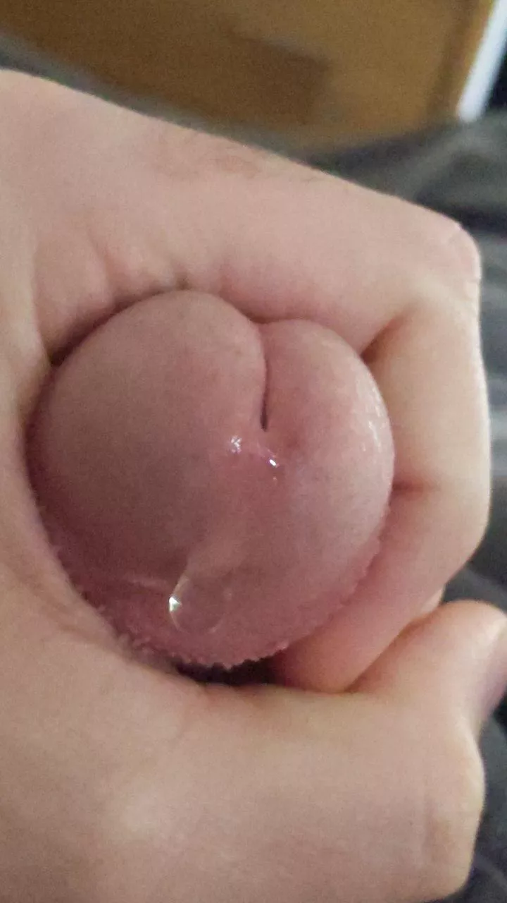 Fancy a drop? posted by ryedge