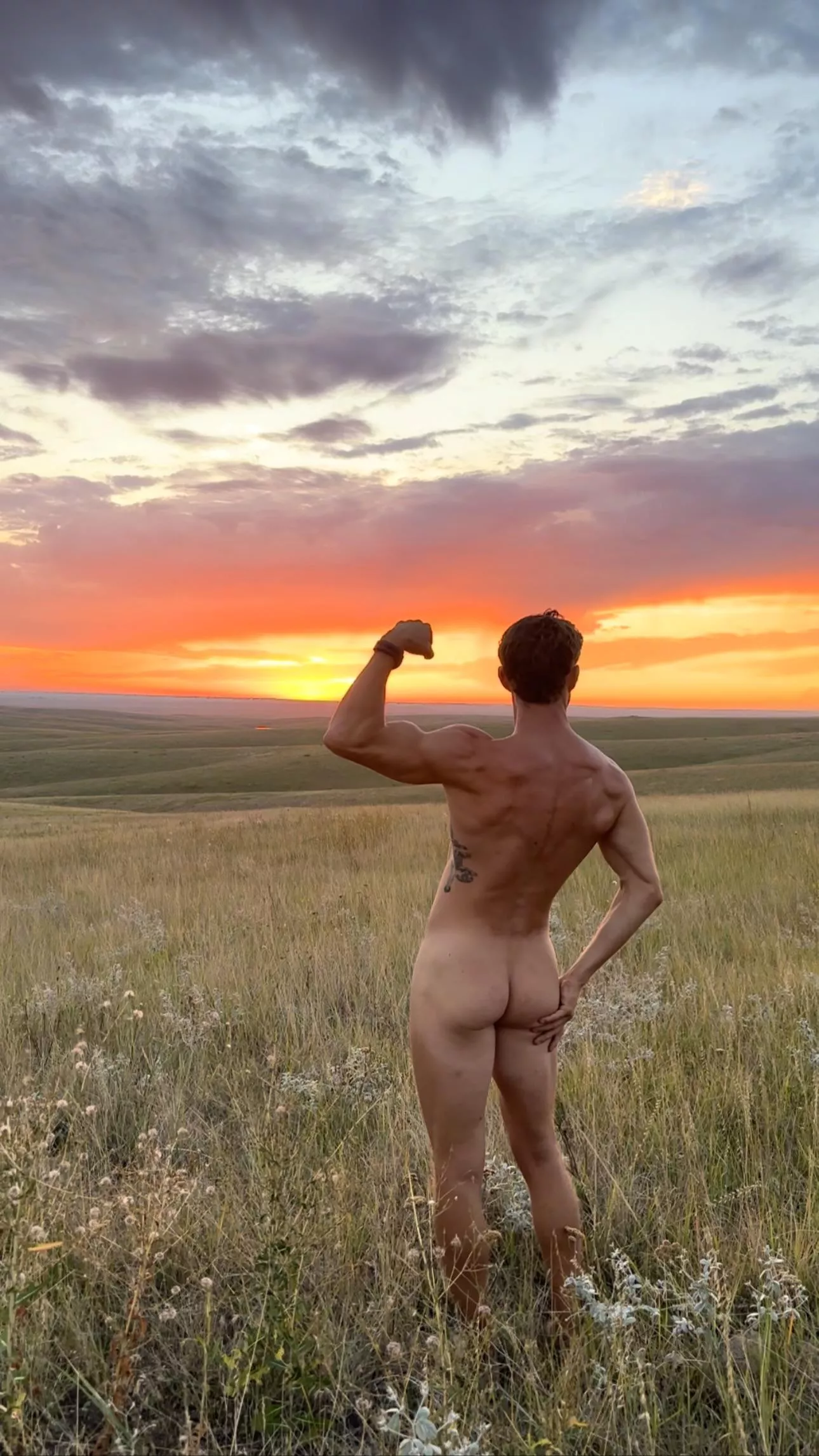 Grassy sunset posted by freeintheforest86