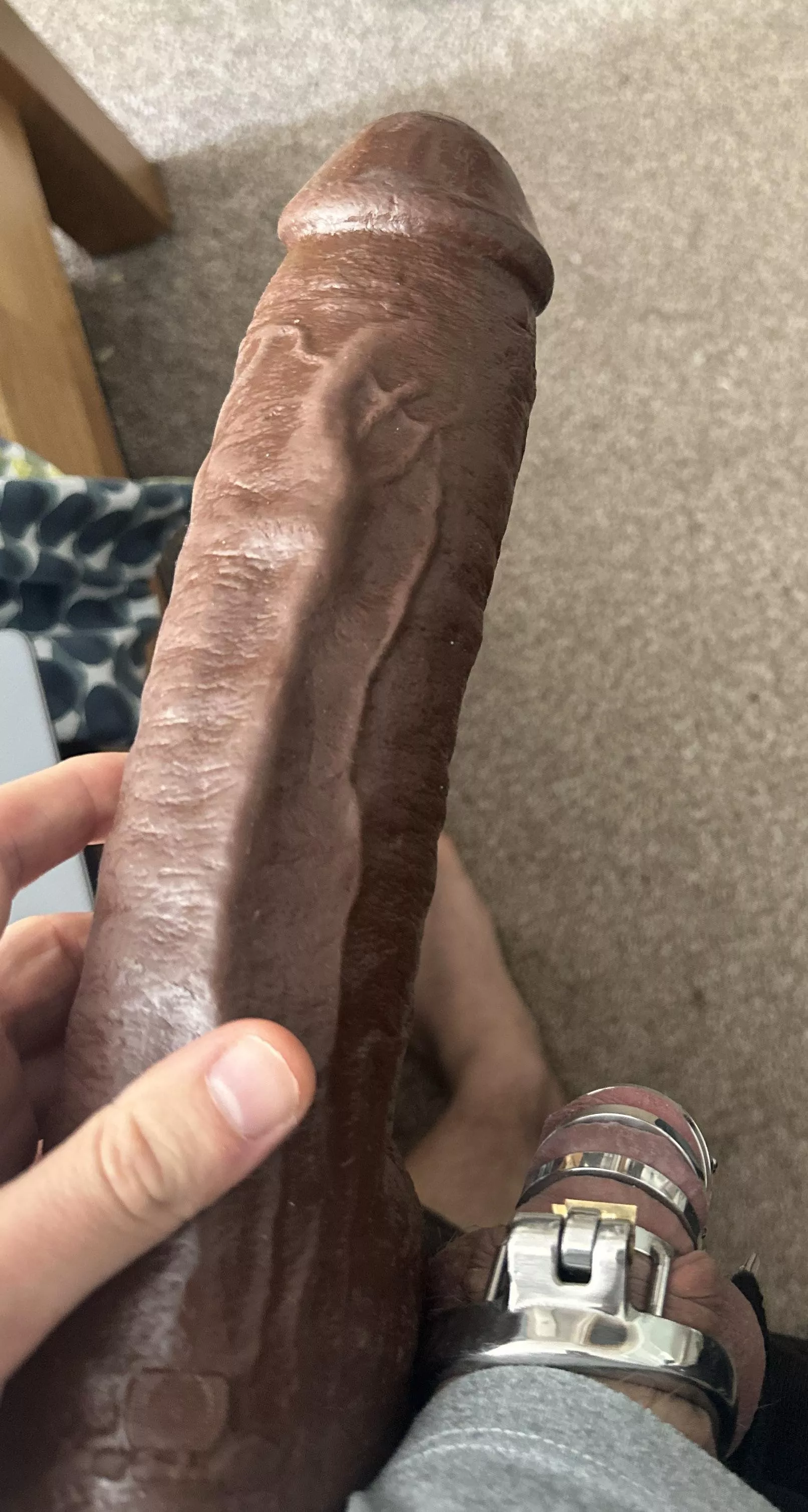 I love comparing sizes posted by thatcuriousone95