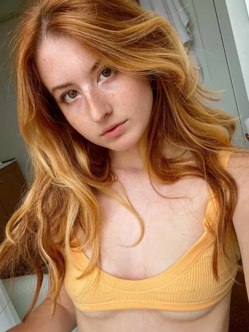 I love each and every one of them by Innocentlypurreee