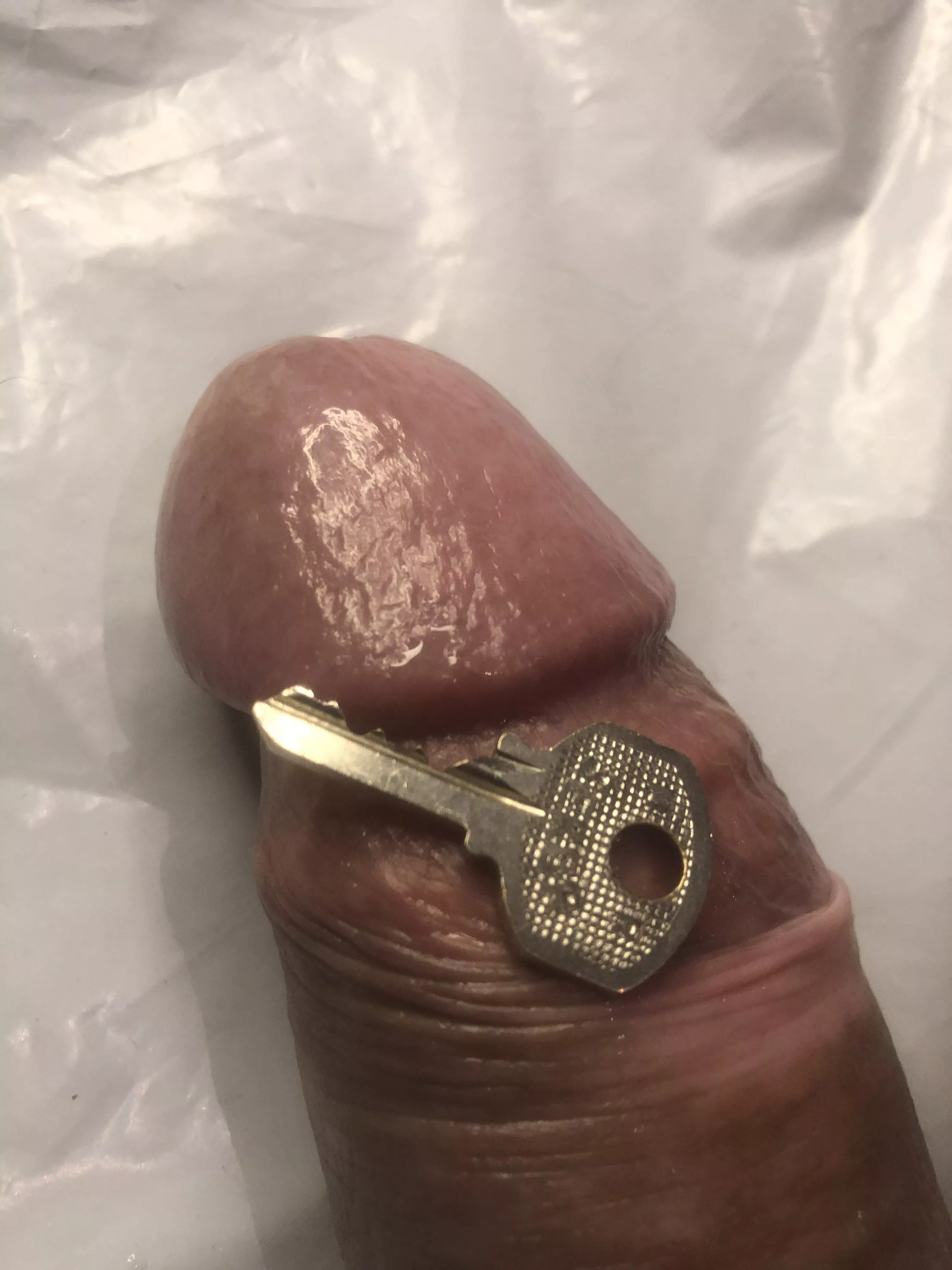 Say good morning if u think u deserve to be caged by Me.🍆➡️🔑🔐🔓🔒🤏 posted by lucasghb