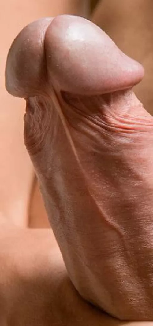 Say “Yes Boss” if you’d let me breed either one of your holes. by DarrenBi