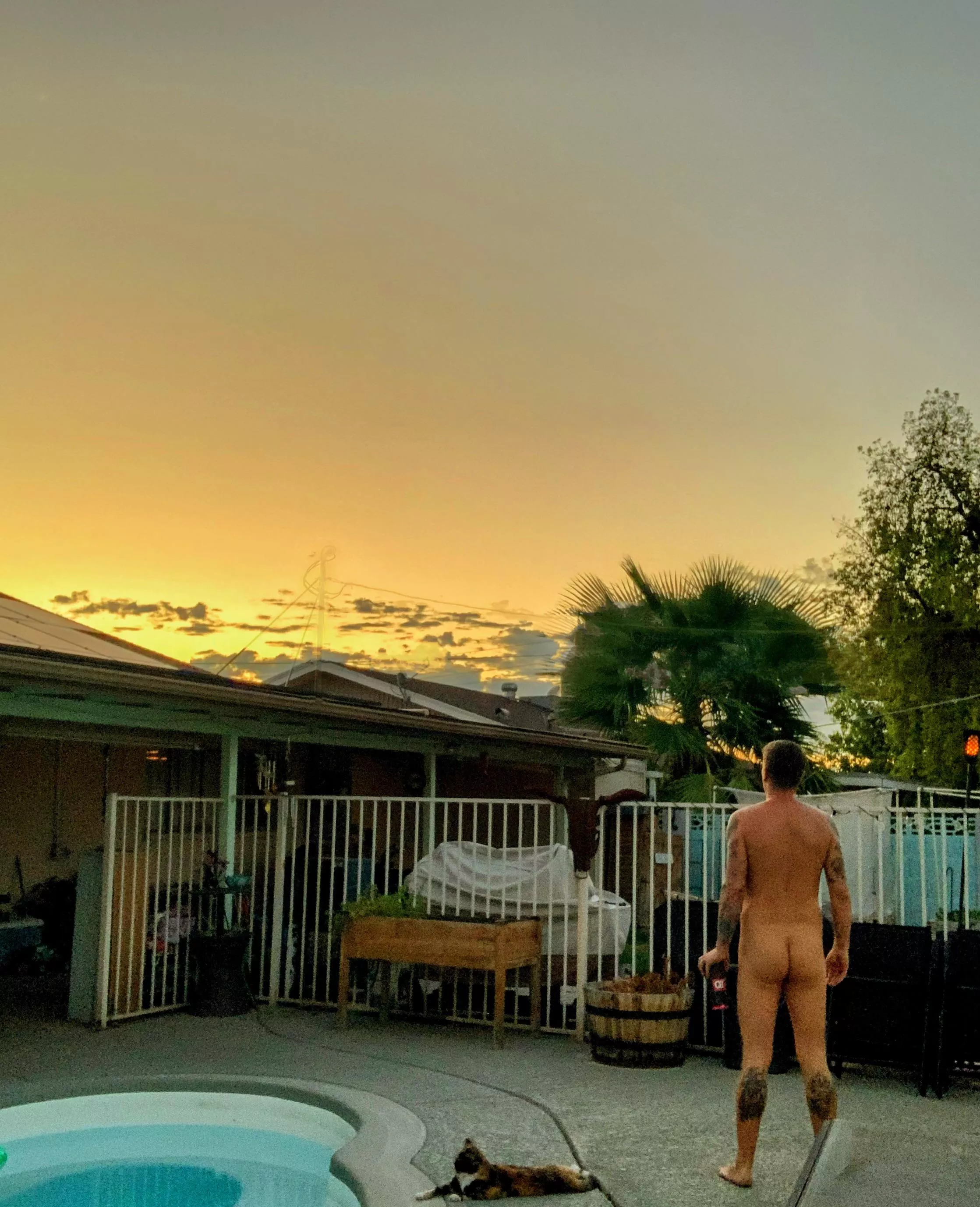 Taking in the sunrise and coffee. posted by PhxNudeDude51