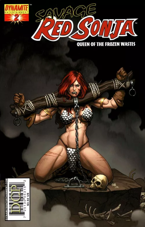 The Red Sonja comics by default are kind of horny caw caw. by HEY_BRO_NICE_PECKER