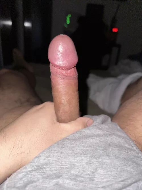 Wood morning by Gustavop36