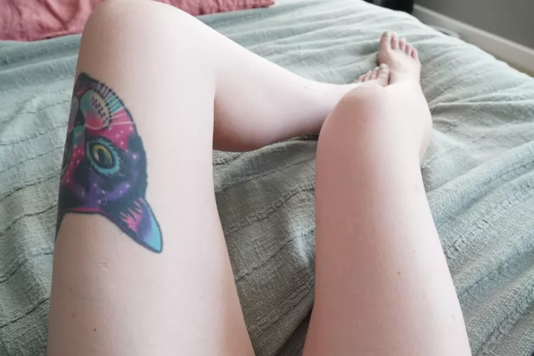 You should be in between these long legs by themaryfairyy