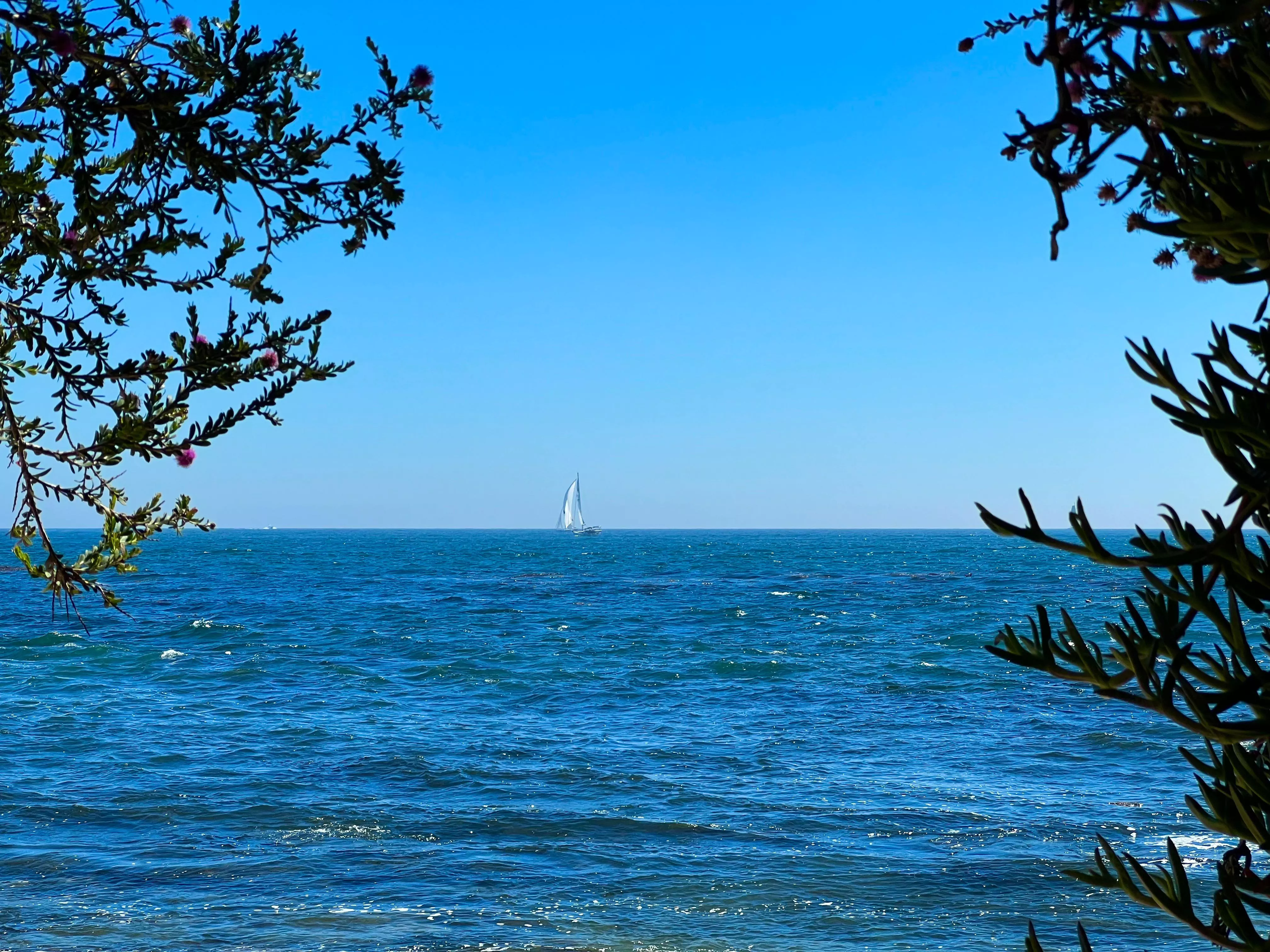 Cameo Shores Beach in Corona del Mar, Newport Beach California posted by lanafre04