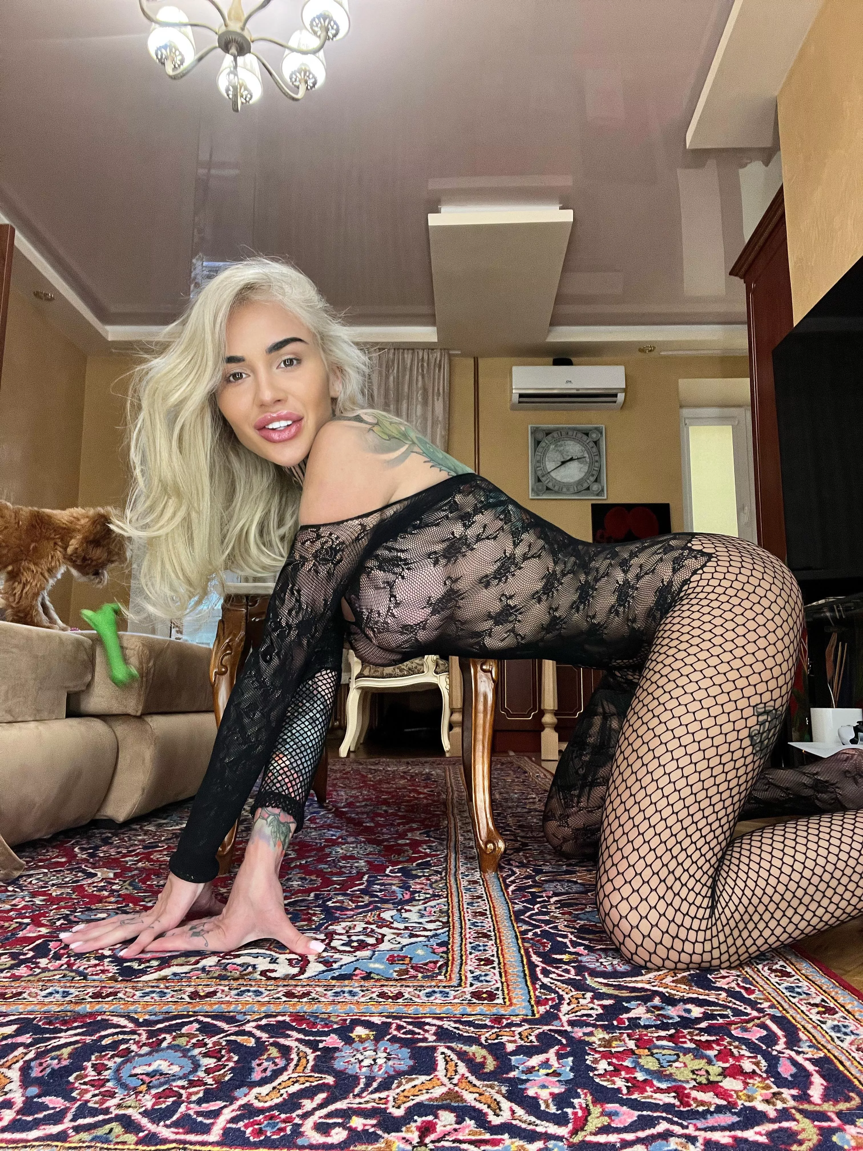 Do you want to eat my shaky ass? posted by inlaidtouch30