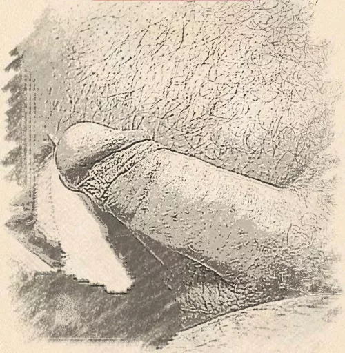 Feelfree by Silent-Chocolate3694