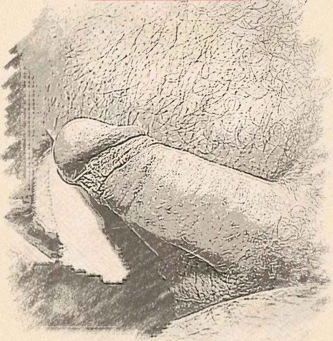 Feelfree posted by Silent-Chocolate3694