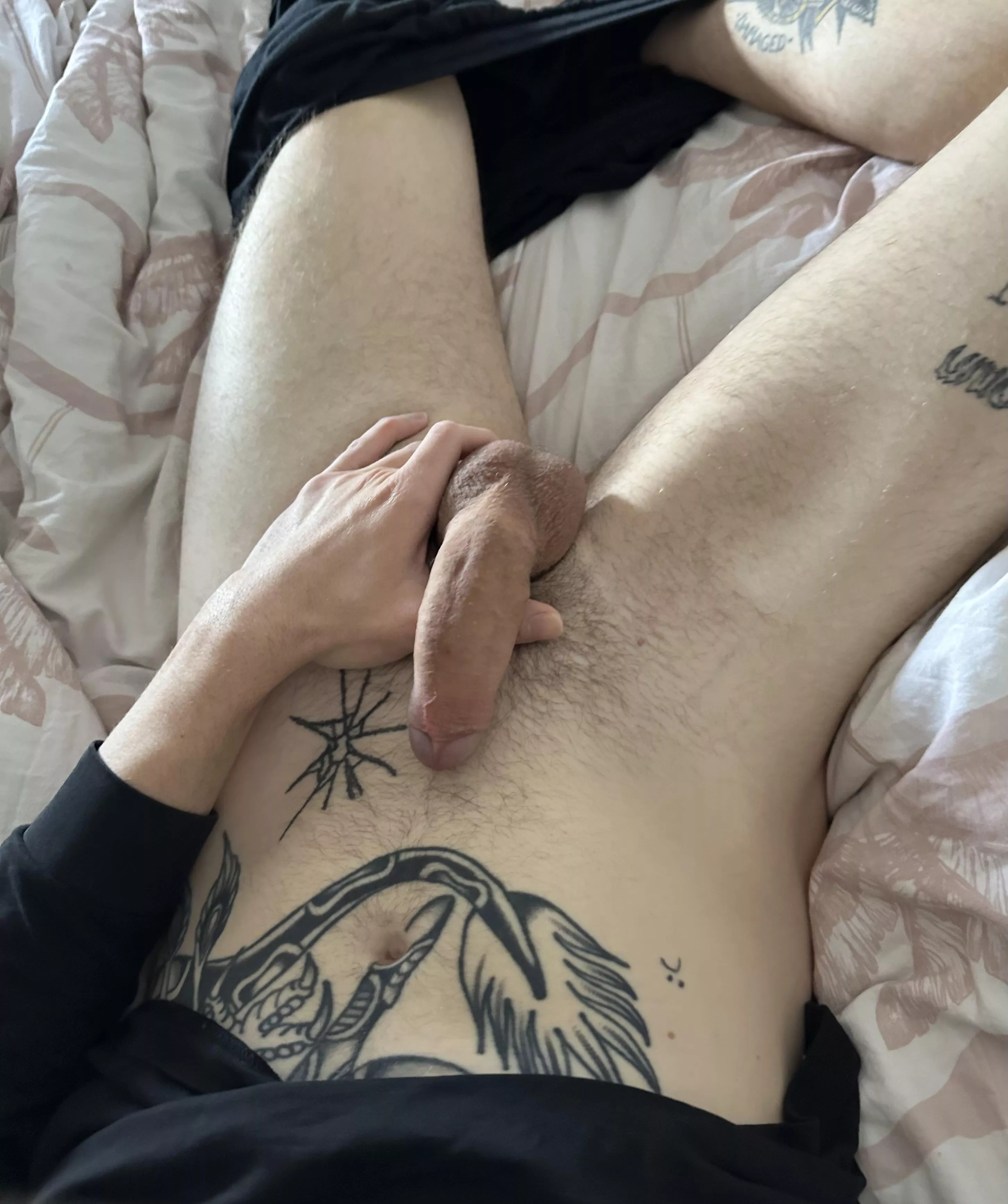 Good morning posted by bustanuteveryday