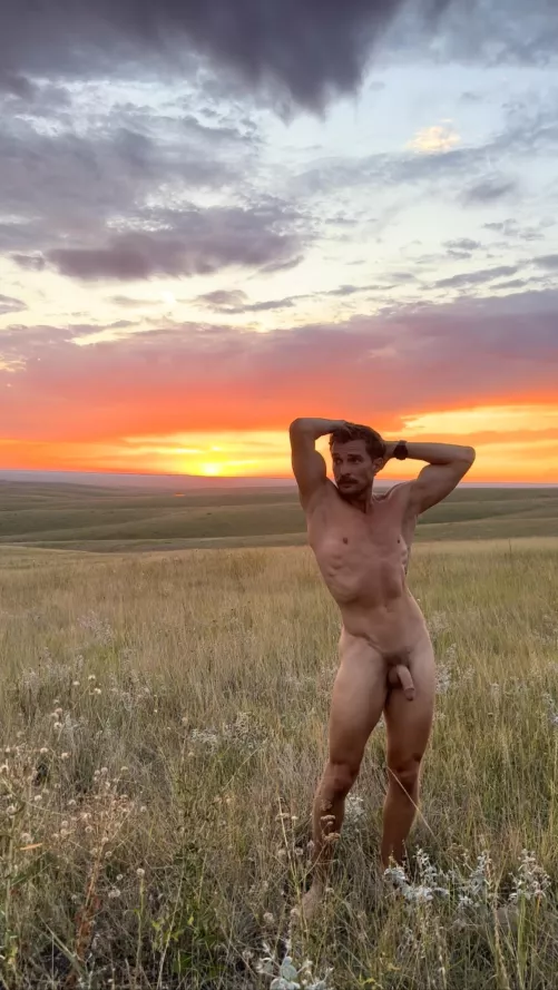 Grassy sunset by freeintheforest86