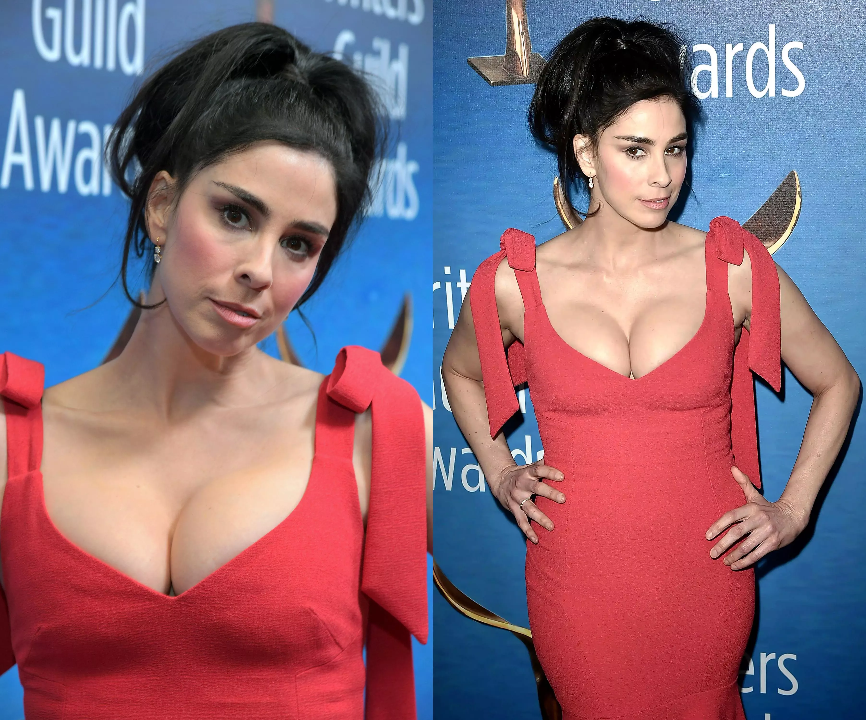 Sarah Silverman posted by timsa17