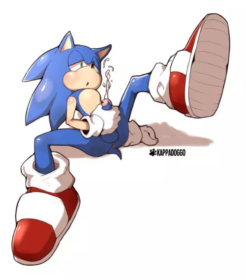 sonic’s alone time [kappadoggo] by WolfPussyEnjoyer