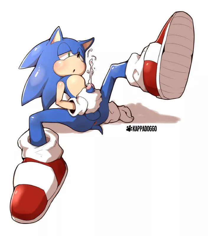 sonic’s alone time [kappadoggo] posted by WolfPussyEnjoyer