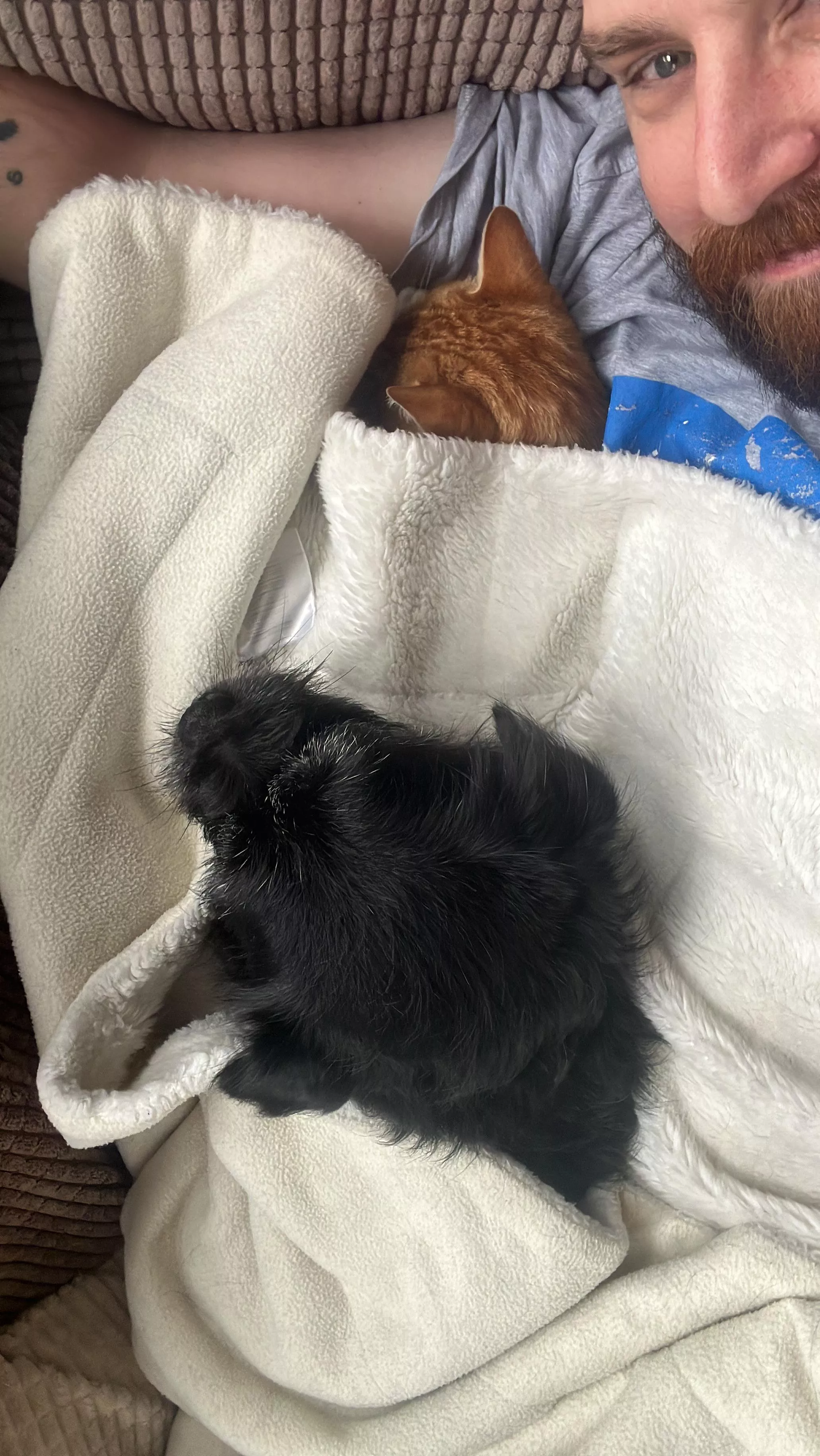 Sundays are for gaming and cuddling on the sofa. posted by Nocturtle22