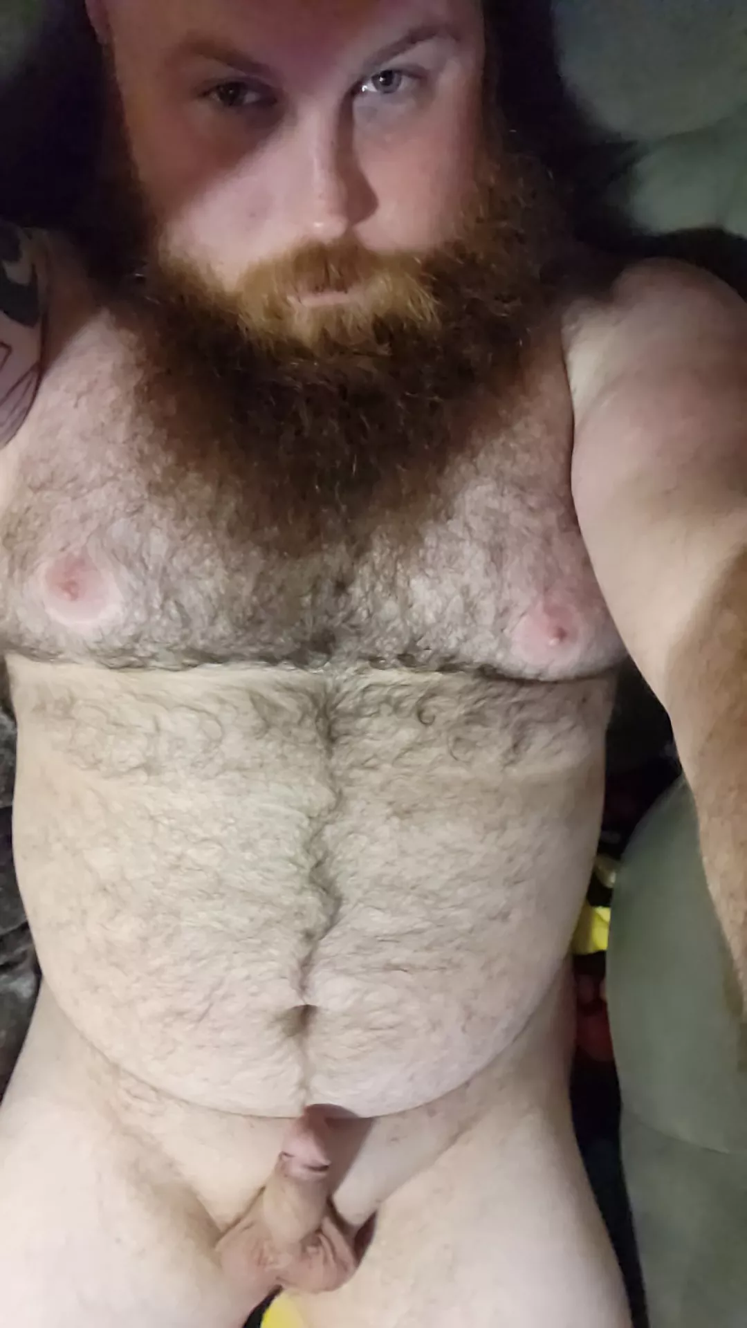 Tiny dick bear posted by RoughMaintenance8662