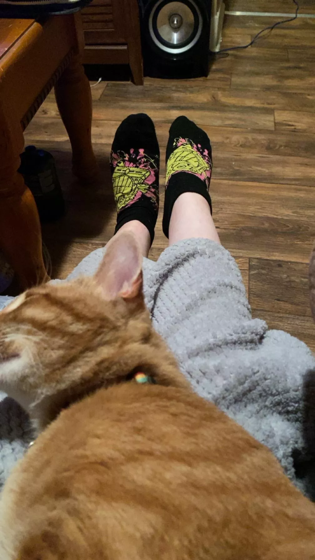 Wouldn’t you wanna be in place of my kitty? Worship and climb the ranks to achieve it. I’m the empress and you’re my servant. OC posted by AnnaKit46290